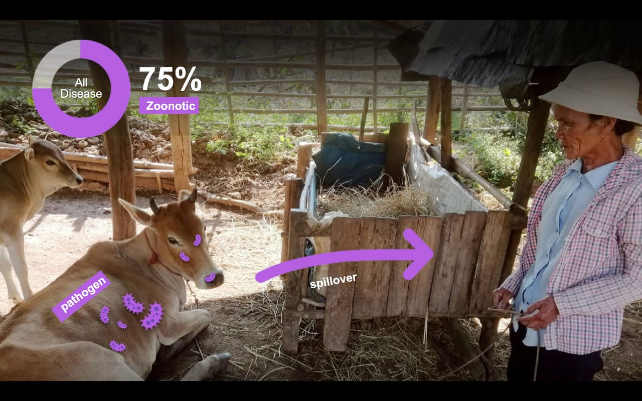 PODD graphic showing zoonotic disease spillover from animals to humans